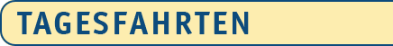 Tageseisen